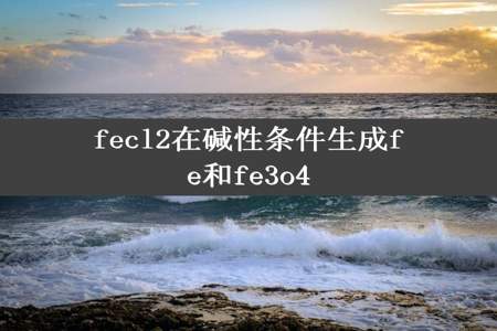 fecl2在碱性条件生成fe和fe3o4