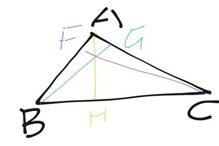 每个三角形可画三条不同的高对吗