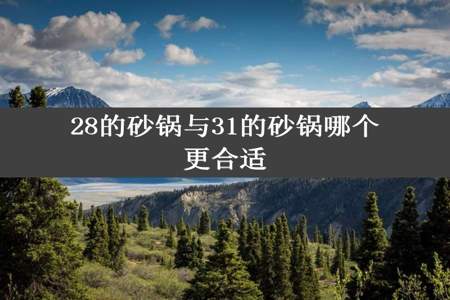 28的砂锅与31的砂锅哪个更合适