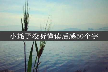 小耗子没听懂读后感50个字