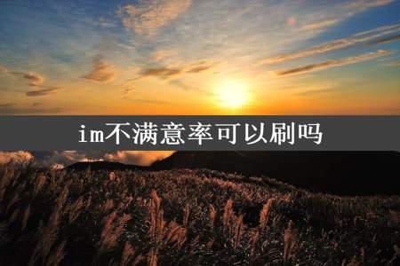 im不满意率可以刷吗