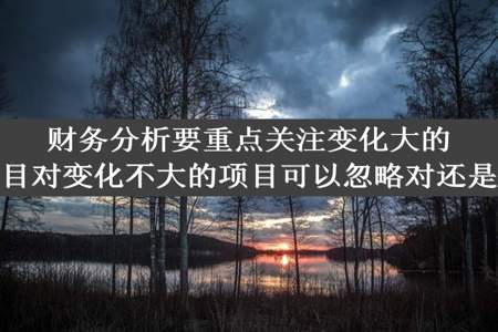 财务分析要重点关注变化大的项目对变化不大的项目可以忽略对还是错