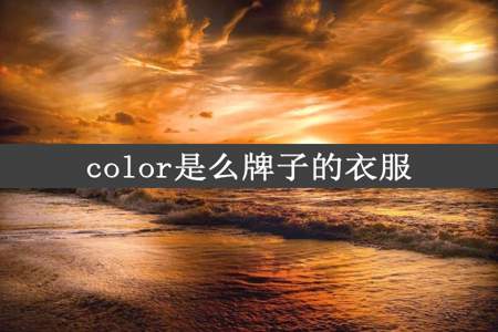 color是么牌子的衣服