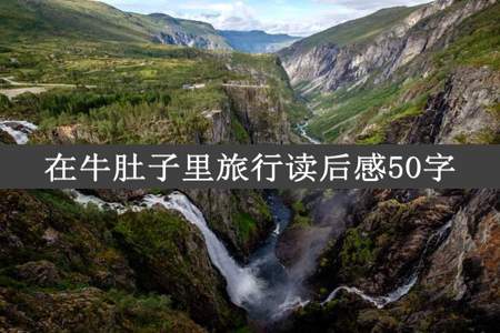 在牛肚子里旅行读后感50字