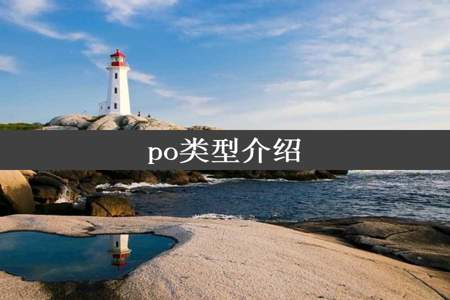 po类型介绍