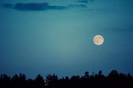 借月亮来表达自己对恋人的思念的诗句
