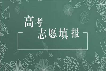 2021高考艺术生报考第一志愿必须是a段的吗