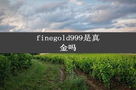 finegold999是真金吗