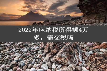 2022年应纳税所得额4万多，需交税吗