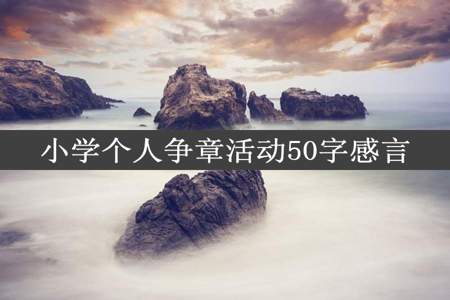 小学个人争章活动50字感言