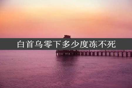 白首乌零下多少度冻不死