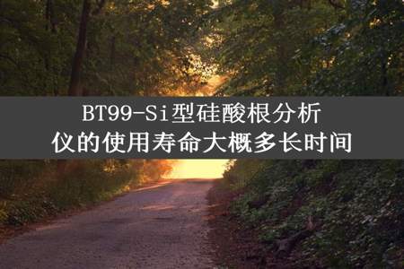 BT99-Si型硅酸根分析仪的使用寿命大概多长时间