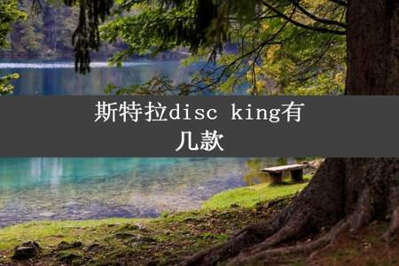 斯特拉disc king有几款