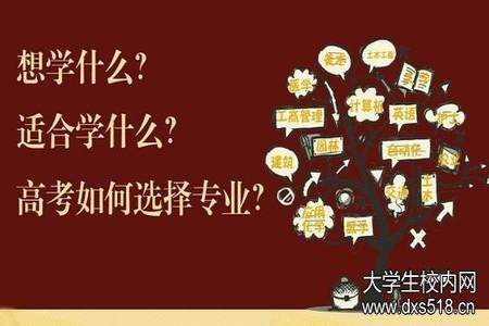 预投档能查到相关信息吗