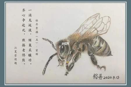 描写蜜蜂的诗句