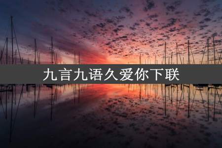 九言九语久爱你下联