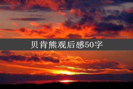 贝肯熊观后感50字