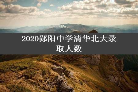2020郧阳中学清华北大录取人数