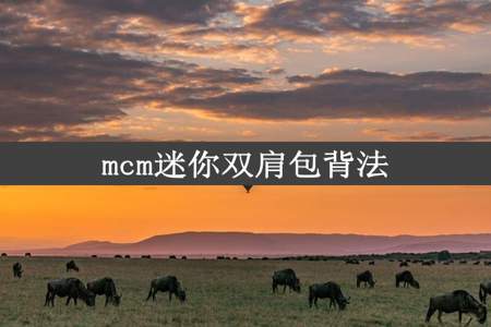 mcm迷你双肩包背法