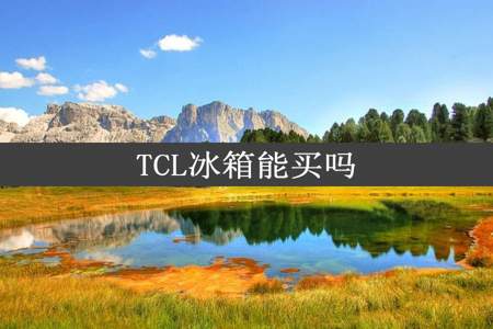 TCL冰箱能买吗