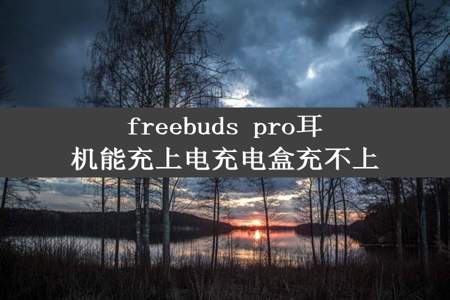 freebuds pro耳机能充上电充电盒充不上