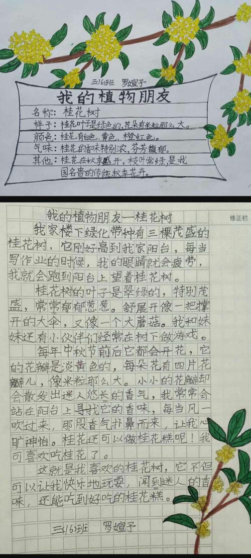 三年级科学把叶子摘掉植物依然能活是对的还是错的