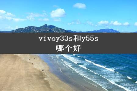 vivoy33s和y55s哪个好