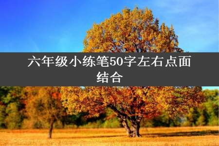 六年级小练笔50字左右点面结合