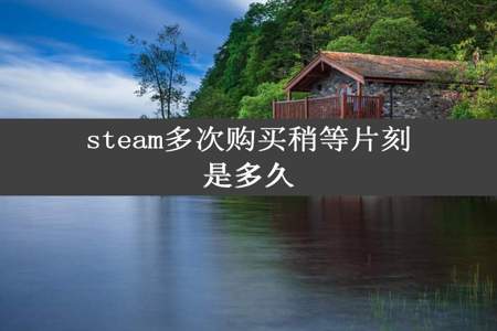 steam多次购买稍等片刻是多久