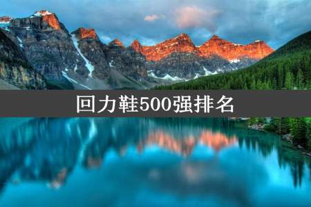 回力鞋500强排名