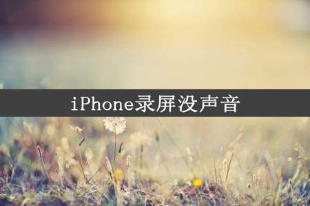 iPhone录屏没声音