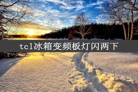 tcl冰箱变频板灯闪两下