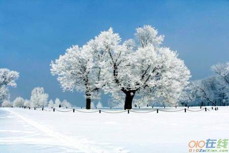 形容飞雪的诗句