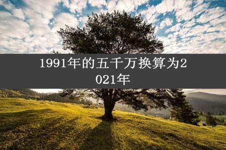 1991年的五千万换算为2021年