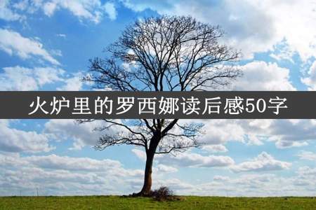 火炉里的罗西娜读后感50字