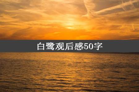 白鹭观后感50字