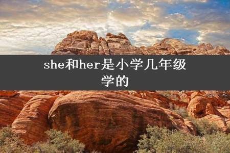 she和her是小学几年级学的