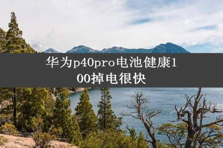 华为p40pro电池健康100掉电很快