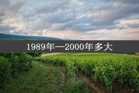 1989年—2000年多大