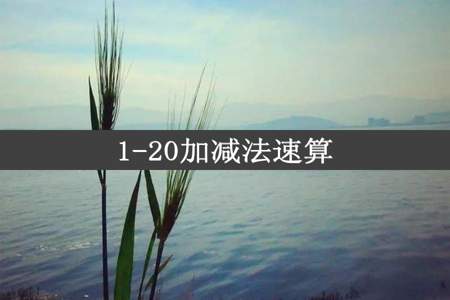 1-20加减法速算