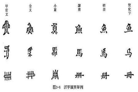 私的汉字演变