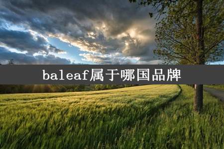 baleaf属于哪国品牌