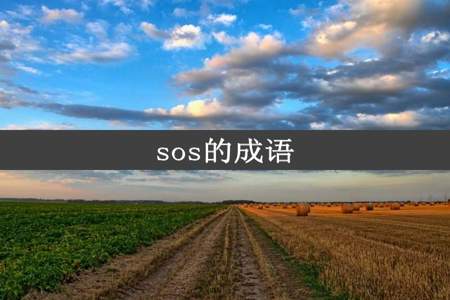 sos的成语