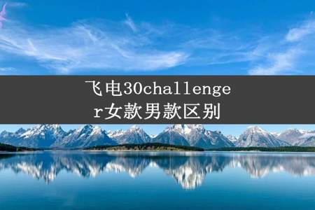 飞电30challenger女款男款区别