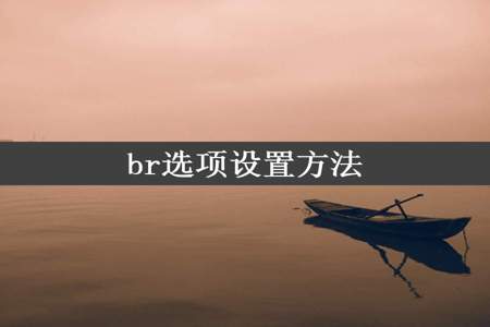 br选项设置方法