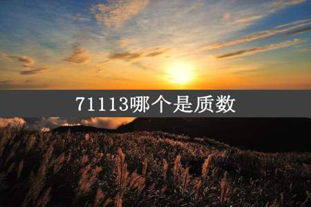 71113哪个是质数