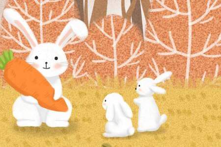 5个萝卜分给两只小兔,每只能分得同样多吗