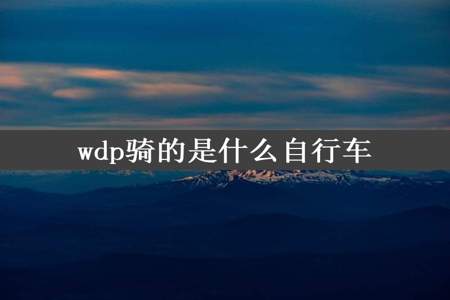 wdp骑的是什么自行车