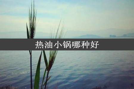 热油小锅哪种好