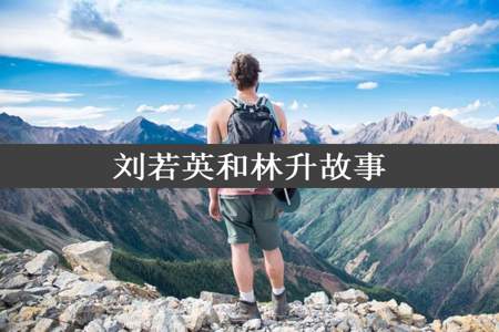 刘若英和林升故事